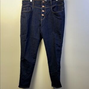 Judy blue skinny fit Dark Blue Women's Jeans size 1X.
